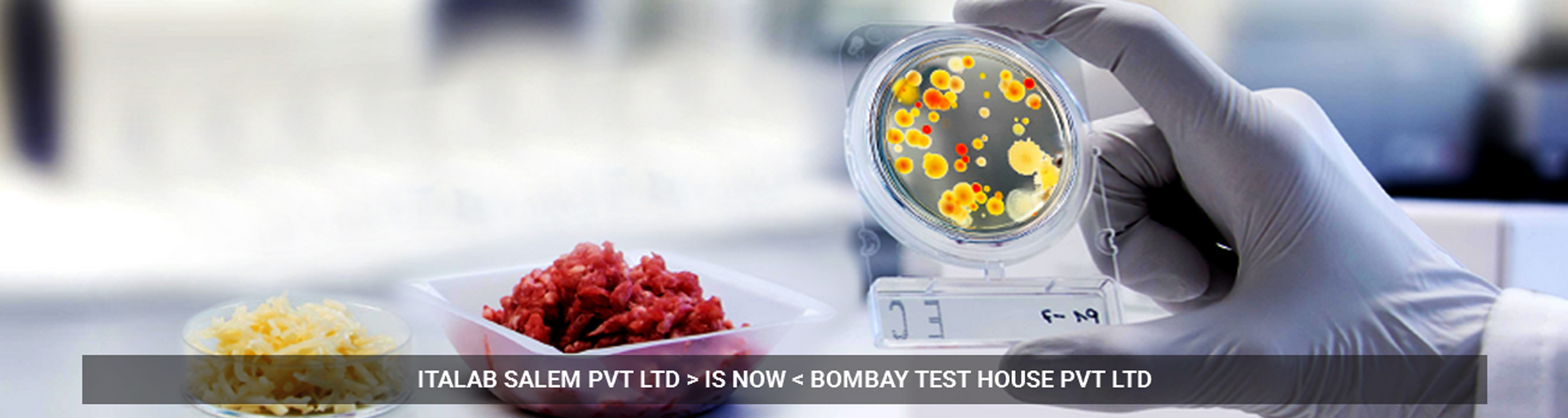 > </div>
<div class=